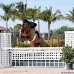 Peter Pletcher and HH London Dominate the Western Hay & Suncoast Bedding First Year Green Working Hunter Championship at the FTI Winter Equestrian Festival.