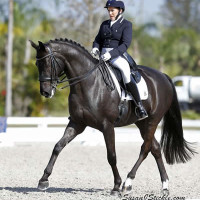 Shelly Francis and Danilo take first in the Prix St. Georges