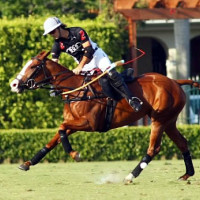 Audi's Nico Pieres goes for the neck shot against Valiente