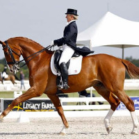 Mette Rosencrantz and Finally, winners of the Grand Prix Special at the IHS Palm Beach Dressage Derby