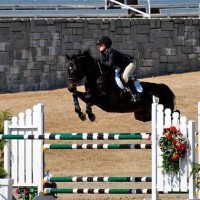 Ashley Foster and Indy make it look easy in the Olympic Stadium