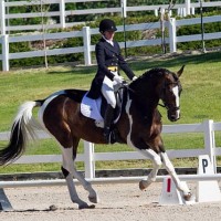 Sydney Conley Elliott and SaffariO are in second place in the CCI* after the dressage phase