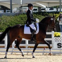 Allen Swafford and Fiderstep HW in the Markel/USEF Young Rider 5-Year-Old Qualifier