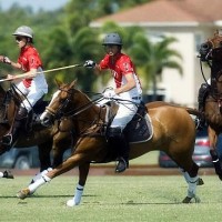 Audi's Grant Ganzi, Lucas Lalor and Mike Azzaro teaming up as a pack against Piaget