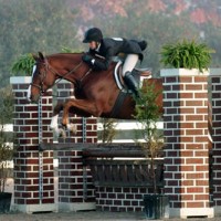 Elizabeth Boyd and Chestnut Avenue won the 2012 Adequan Pre-Green Hunter Championship. Flashpoint Photography.