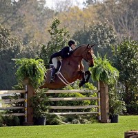 A USHJA National Hunter Derby is held every week and an International Hunter Derby is held during Week 5 of the Gulf Coast Winter Classic Series