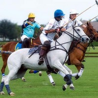 The Legends of Polo game, with players such as brothers and Grand Champions Gray teammates Julian and Howard Hipwood and Grand Champions Blue's Joey Casey, will also be televised on Sunday.