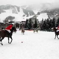 A breath-taking view of the Piaget World Snow Polo Championship