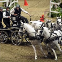 IJsbrand Chardon steers to victory in the Extreme Driving FEI World Cup