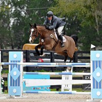 ESI Photography. Aaron Vale and Gems Bond were the ones to beat in the $2,500 Brook Ledge Open Welcome 1.40m