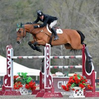 ©ESI Photography. Kevin Babington and Mark Q jump to a win in the $15,000 Brook Ledge Open Jumper Prix.