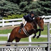 Sayre's client Marisa Haag on her mare Taylor Made 2013 Zone 8 Champions in the Amateur Adult Hunters 18-35.