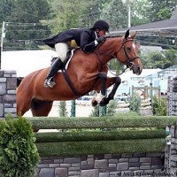 Jennifer Alfano and Maggie May took third place during the $25,000 USHJA International Hunter Derby at the Devon Horse Show and County Fair