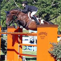 Brianne Goutal and Nice De Prissey finished second in the $100,000 Hermes American Gold Cup Grand Prix Qualifier