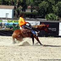 Rick Steed and High Dollar perform bridleless at the August exhibition in Jupiter. Photo by Catherine Zachariadis