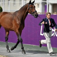 Missy Ransehousen jogs Lord Ludgar at the London Olympic Games