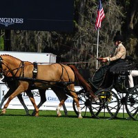 Boots Wright of Ocala, Florida and her German Riding Ponies took first place in the dressage phase with a score of 46.66.