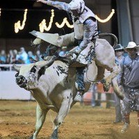 Bull riding excitement Friday and Saturday night this weekend only
