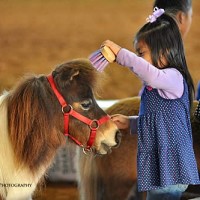 Kids get the chance to get up close to the ponies