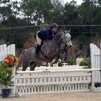 Gray Street, owned and ridden by Alexandra Penetta, sails over an oxer on their way to the win yesterday in the $2,500 USHJA National Hunter Derby