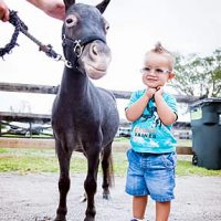 Mini humans and equines at the Childhood Cancer Awareness Celebration at Lands End Farm (Photo courtesy of Moonstruck Photography)