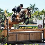 Sandy Ferrell and Showman Claimed the Western Hay and Suncoast Bedding First Year Green Working Hunter Championship © 2010 Randi Muster