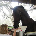 Rolex W, a member of Chester Weber’s eight-time National Four-In-Hand Combined Driving team, paints a “Moneigh” for Mary Simons of the ReRun Thoroughbred organization. (Photo courtesy of ReRun, Inc)