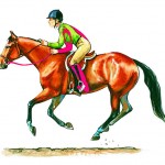 AQHAhalf-seat-final