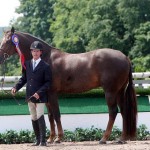 Pletcher005958