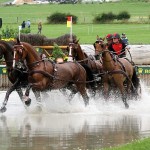 weberIMG_1518