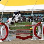 Ward_AntaresF_jump1