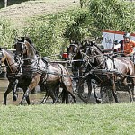 Chardon20110903_1259