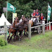 weberIMG_0411