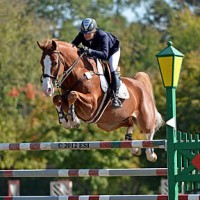 Fenney-va_wk6_gp_jump_vert