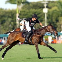 Audi team captain Marc Ganzi gets set to hit the ball despite a fractured thumb on his mallet hand