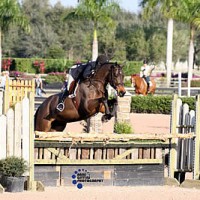 Lillie Keenan and Parkland. Photo © Anne Gittins Photography