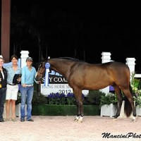Lourie1426