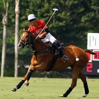 Nico Pieres of Audi hits a neck shot to get the ball downfield