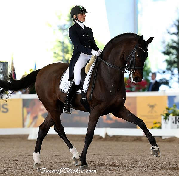 Italy’s Silvia Rizzo Makes Splash at South Florida’s Winter Dressage ...