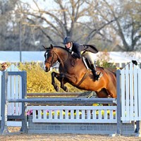 ©ESI Photography. Amy Zettler and Glad Rags on course in the $5,000 HITS Hunter Prix