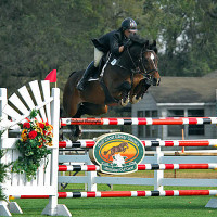 H.J. Magnifico, owned and ridden by Eduardo Braun, sails over an oxer on the magnificent grand prix field yesterday. Flashpoint Photography