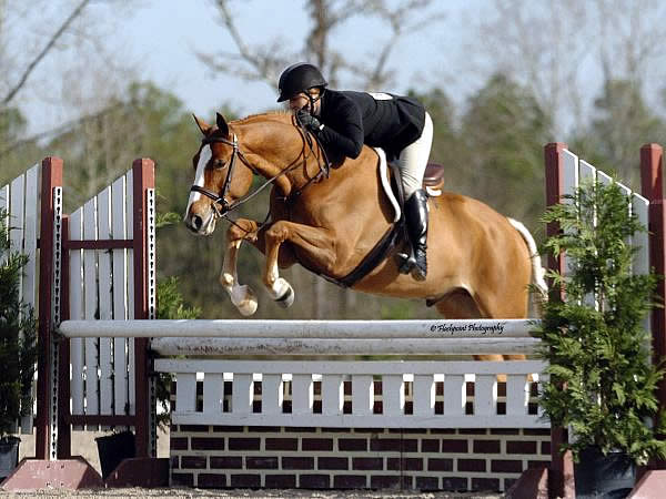 Katie Cooper Snatches Gulf Coast Winter Series Circuit Championship with Sandlot