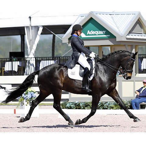 Debbie McDonald Observing Horses and Riders in Hopes of Developing Elite Competitors for U.S.