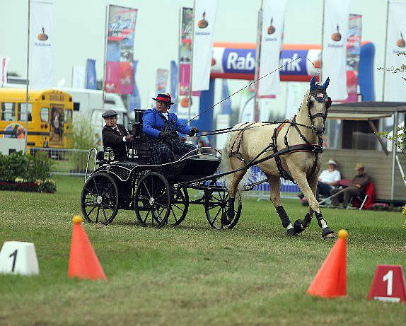 Para-Equestrian Developing Driver Clinics Presented by United States Driving for the Disabled