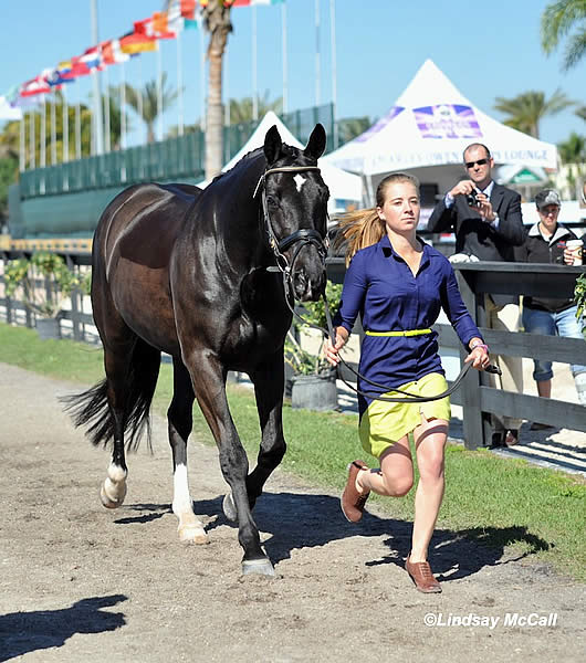 US and Equine Canada Para-Dressage Riders Prepare for Adequan Global Dressage Festival WEF Classic CPEDI3*