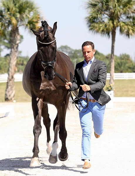 All FEI Horses Pass Jog for the International Horse Sport Champions Cup CDI-W