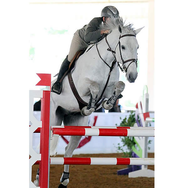 Michael Morrissey Rides to the Top of the 1.40m Leaderboard on Tampa Bay Classic’s First Day