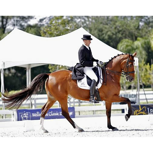 Lars Petersen and Mariett Collect Second Win at Palm Beach Dressage Derby CDI-W