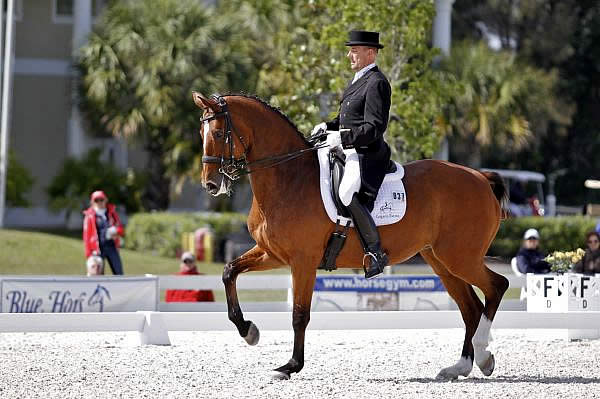 The 30th Palm Beach Dressage Derby CDI-W Delights Competitors and Crowd