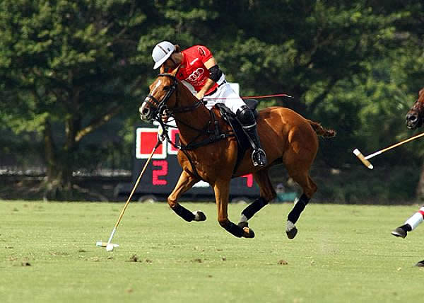 Audi, Piaget Begin Second 26-Goal Tournament USPA Piaget Gold Cup Thursday